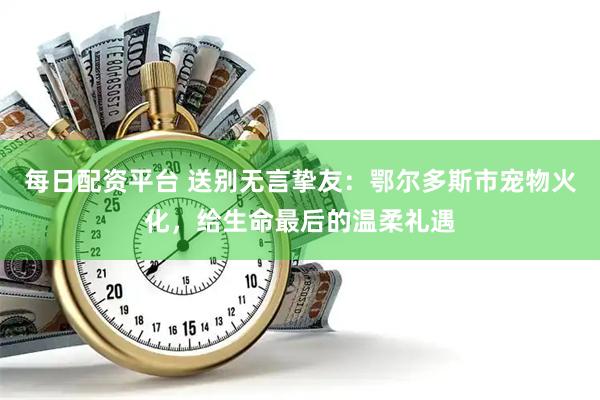 每日配资平台 送别无言挚友：鄂尔多斯市宠物火化，给生命最后的温柔礼遇