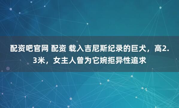 配资吧官网 配资 载入吉尼斯纪录的巨犬，高2.3米，女主人曾为它婉拒异性追求